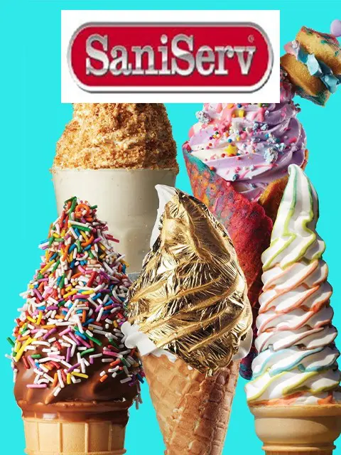 saniserv480logo